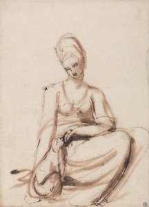 Femme assise nourrissant un animal